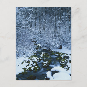 USA, Utah, Wasatch-Catch National Forest, Vykort