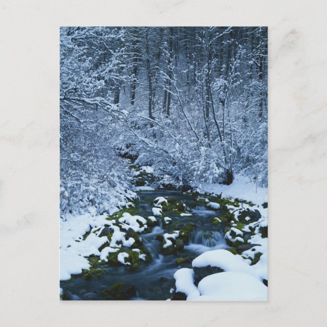 USA, Utah, Wasatch-Catch National Forest, Vykort (Framsida)