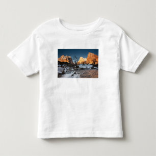 USA, Utah, Zion National Park. Berg vid soluppgång Tee Shirt