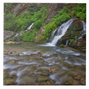USA, Utah, Zion National Park. Big Springs i Kakelplatta