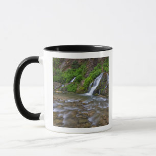USA, Utah, Zion National Park. Big Springs i Mugg