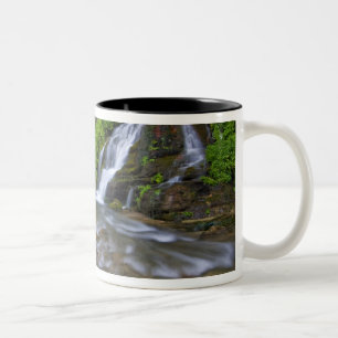USA, Utah, Zion National Park. Big Springs i Två-Tonad Mugg