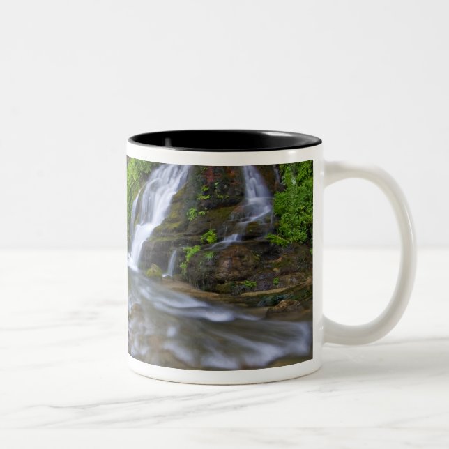USA, Utah, Zion National Park. Big Springs i Två-Tonad Mugg (Höger)