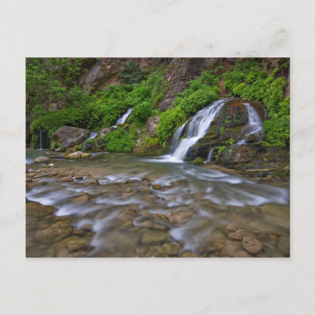 USA, Utah, Zion National Park.  Big Springs i Vykort (Framsida)