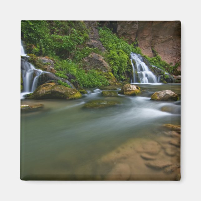 USA, Utah, Zion National Park. Junggin Magnet (Framsidan)