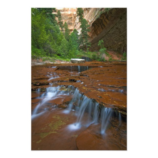 USA, Utah, Zion National Park. Scen från 2 Fototryck (Framsidan)