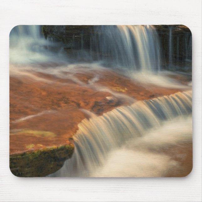 USA, Utah, Zion National Park. Scen från 2 Musmatta (Framsidan)