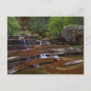 USA, Utah, Zion National Park. Scen från 4 Vykort