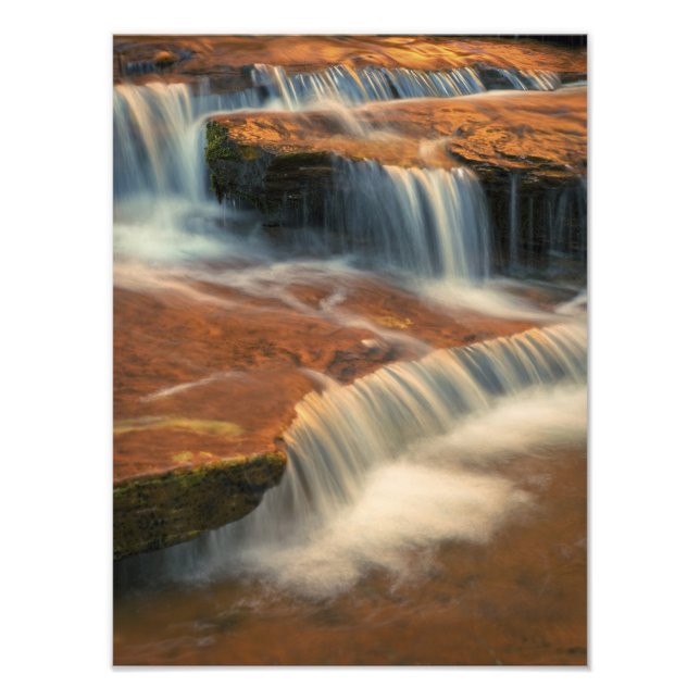 USA, Utah, Zion National Park. Scen från Fototryck (Framsidan)
