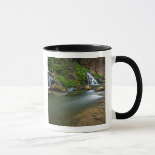 USA, Utah, Zion National Park. The Virgin Mugg