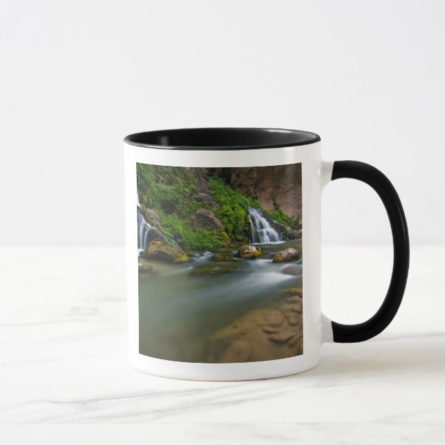 USA, Utah, Zion National Park. The Virgin Mugg (Höger)