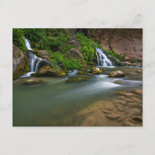 USA, Utah, Zion National Park. The Virgin Vykort