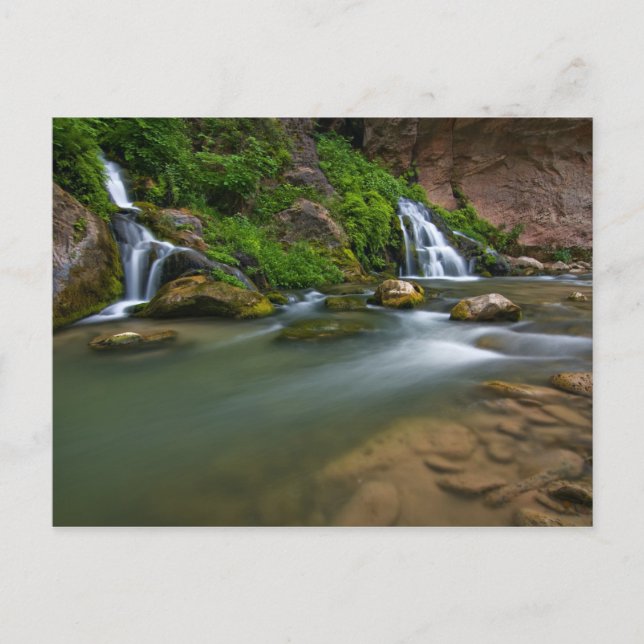 USA, Utah, Zion National Park. The Virgin Vykort (Framsida)