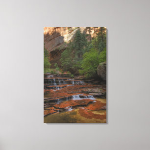 USA, Utah, Zion National Park. Vacker från den Canvastryck