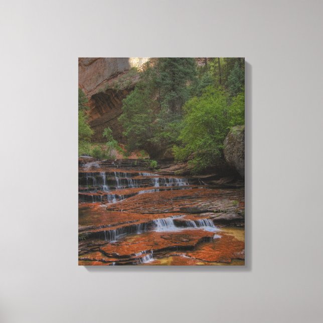 USA, Utah, Zion National Park.  Vacker från den Canvastryck (Framsida)