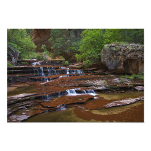 USA, Utah, Zion National Park. Vacker utsikt från Fototryck