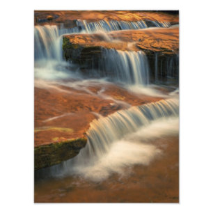 USA, Utah, Zion National Park. Vacker utsikt från Fototryck