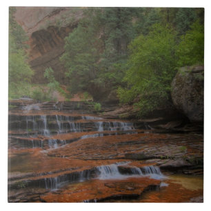 USA, Utah, Zion National Park. Vacker utsikt från Kakelplatta