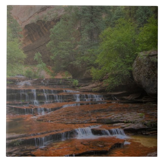 USA, Utah, Zion National Park. Vacker utsikt från Kakelplatta (Framsidan)