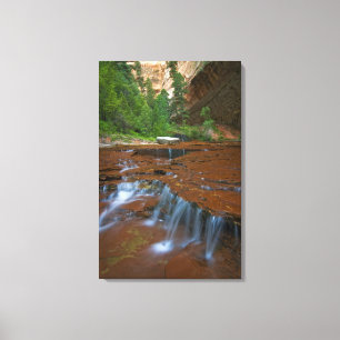 USA, Utah, Zion National Park. Vacker vy från 2 Canvastryck