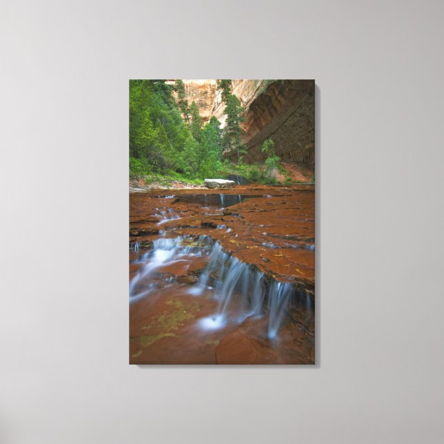 USA, Utah, Zion National Park. Vacker vy från 2 Canvastryck (Framsida)