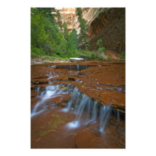 USA, Utah, Zion National Park. Vacker vy från 2 Fototryck