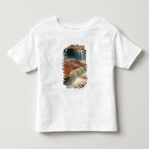 USA, Utah, Zion National Park. Vacker vy från 2 T-shirt