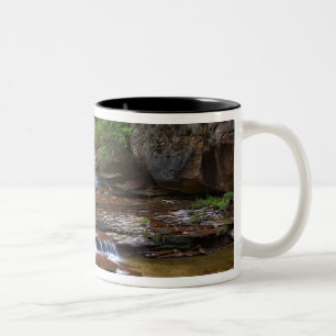 USA, Utah, Zion National Park. Vacker vy från 4 Två-Tonad Mugg