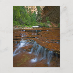 USA, Utah, Zion National Park. Vacker vy från Vykort