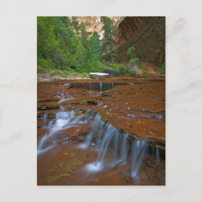 USA, Utah, Zion National Park. Vacker vy från Vykort (Framsida)