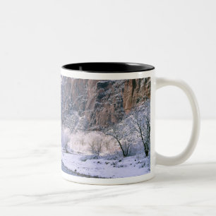USA, Utah, Zion NP. Nya snö täcker kanjonen Två-Tonad Mugg