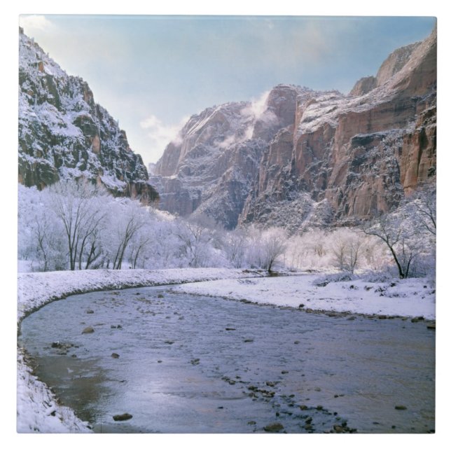 USA, Utah, Zion NP. Nya snö täcker kanyon Kakelplatta (Framsidan)