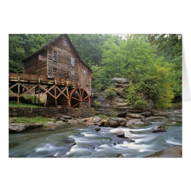 USA, Väster Virginia, Babcock SP. Rustic Glade Hälsningskort (Framsidan Horizontal)