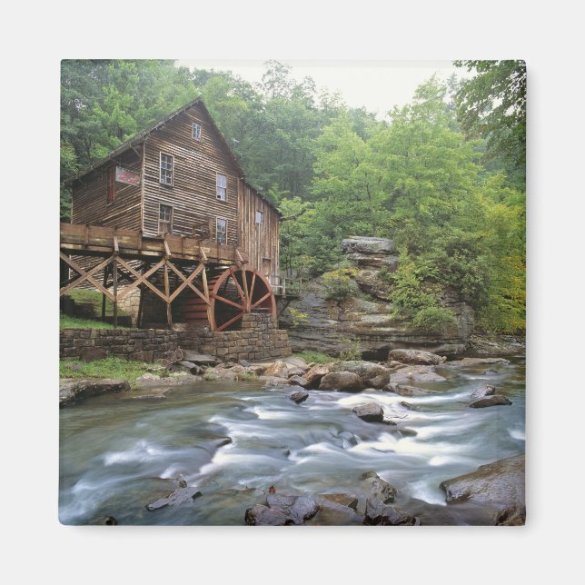 USA, Väster Virginia, Babcock SP. Rustic Glade Magnet (Framsidan)