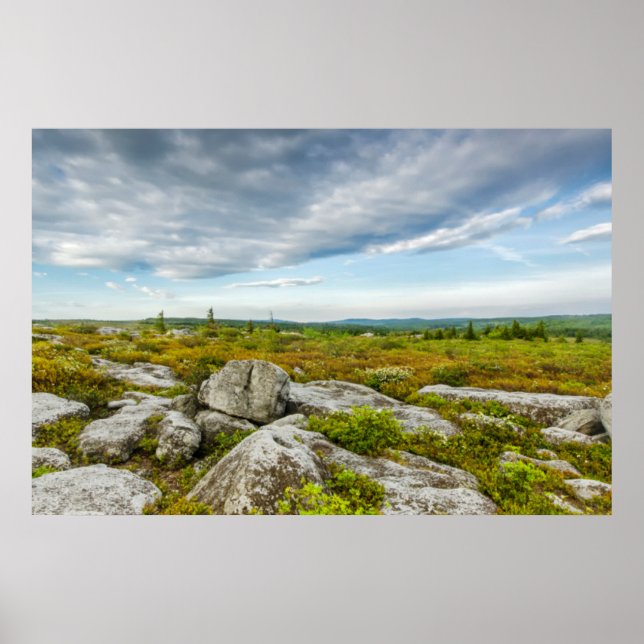 USA, Väster Virginia, Davis. Liggande i Dolly Poster (Framsidan)