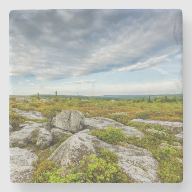 USA, Väster Virginia, Davis. Liggande i Dolly Underlägg Sten (Framsidan)