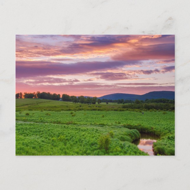 USA, Väster Virginia, Davis. Liggande Vykort (Framsida)