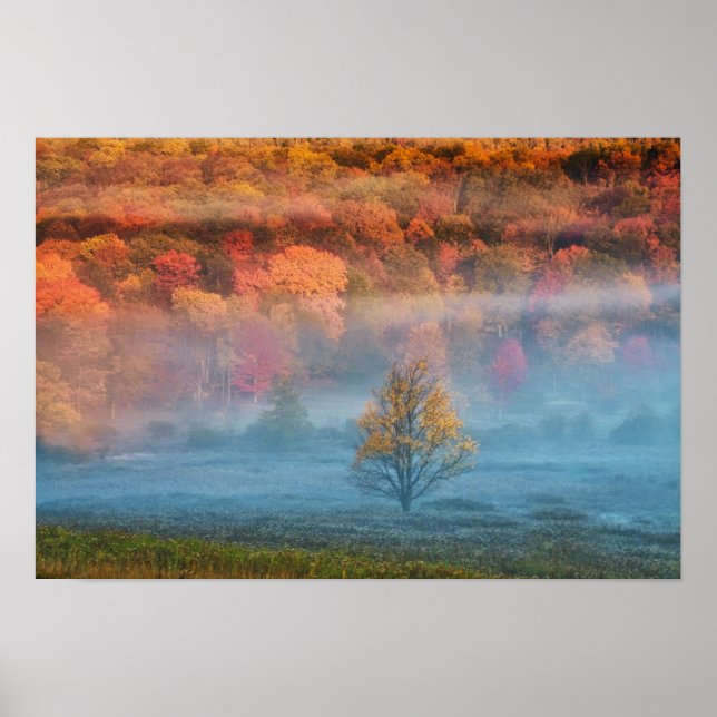 USA, Väster Virginia, Davis. Misty valley och Poster (Framsidan)