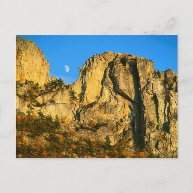 USA, Väster Virginia, Spruce Knob-Seneca Sten 2 Vykort (Framsida)