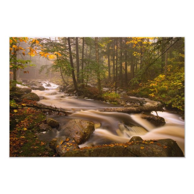 USA, Vermont, East Arlington, Flödande bäckar 2 Fototryck (Framsidan)