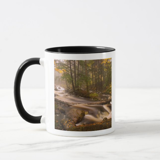 USA, Vermont, East Arlington, Strömmande bäckar 2 Mugg (Vänster)