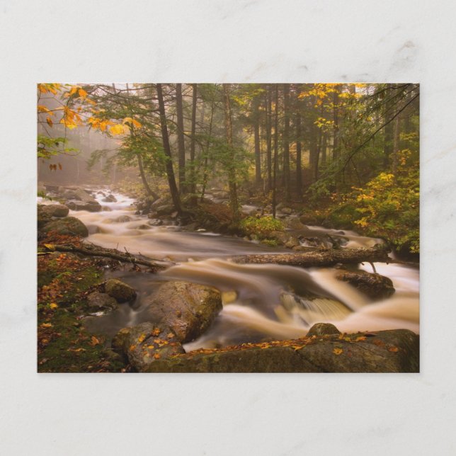 USA, Vermont, East Arlington, Strömmande bäckar 2 Vykort (Framsida)