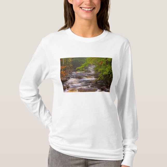 USA, Vermont, East Arlington, Strömmande bäckar T Shirt (Framsida)