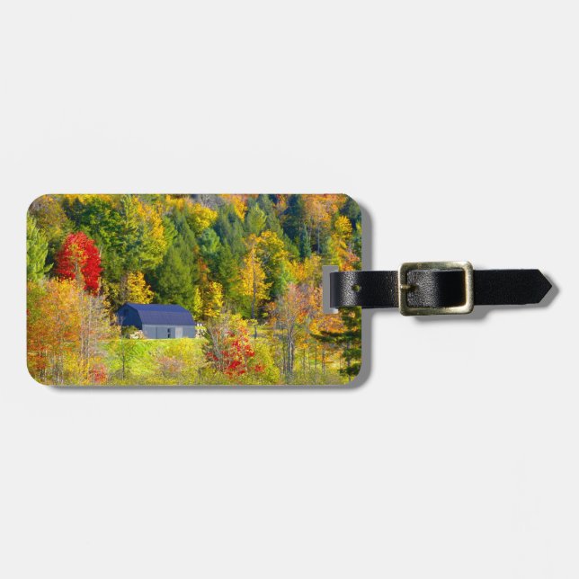 USA, Vermont. Fallvallning längs motorväg 100. Bagagebricka (Horisontell Framsida)