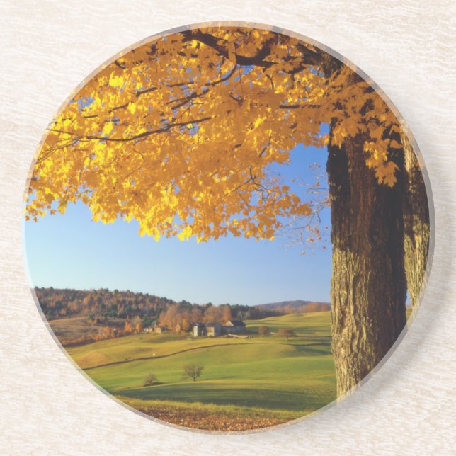 USA, Vermont. Farm Scenia Near South Woodstock Underlägg Sandsten (Framsidan)