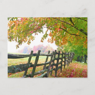 USA, Vermont. Fens under falllöv. Vykort