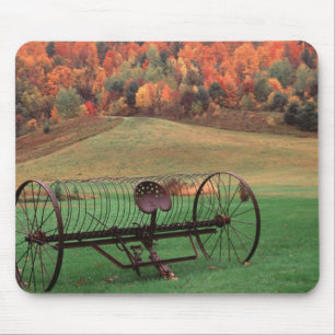 USA, Vermont, Gård. Musmatta