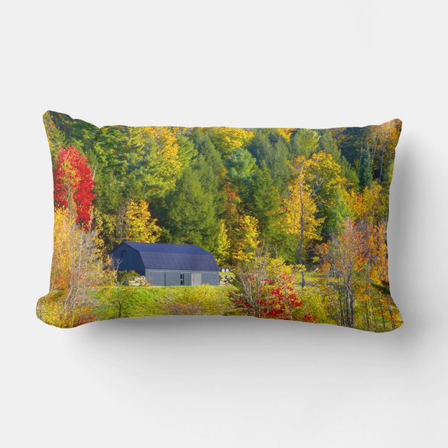USA, Vermont. Höstfärger längs Highway 100. Lumbarkudde (Framsida)