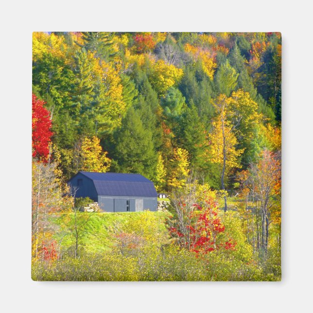USA, Vermont. Höstfärger längs Highway 100. Magnet (Framsidan)