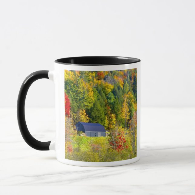 USA, Vermont. Höstfärger längs Highway 100. Mugg (Vänster)
